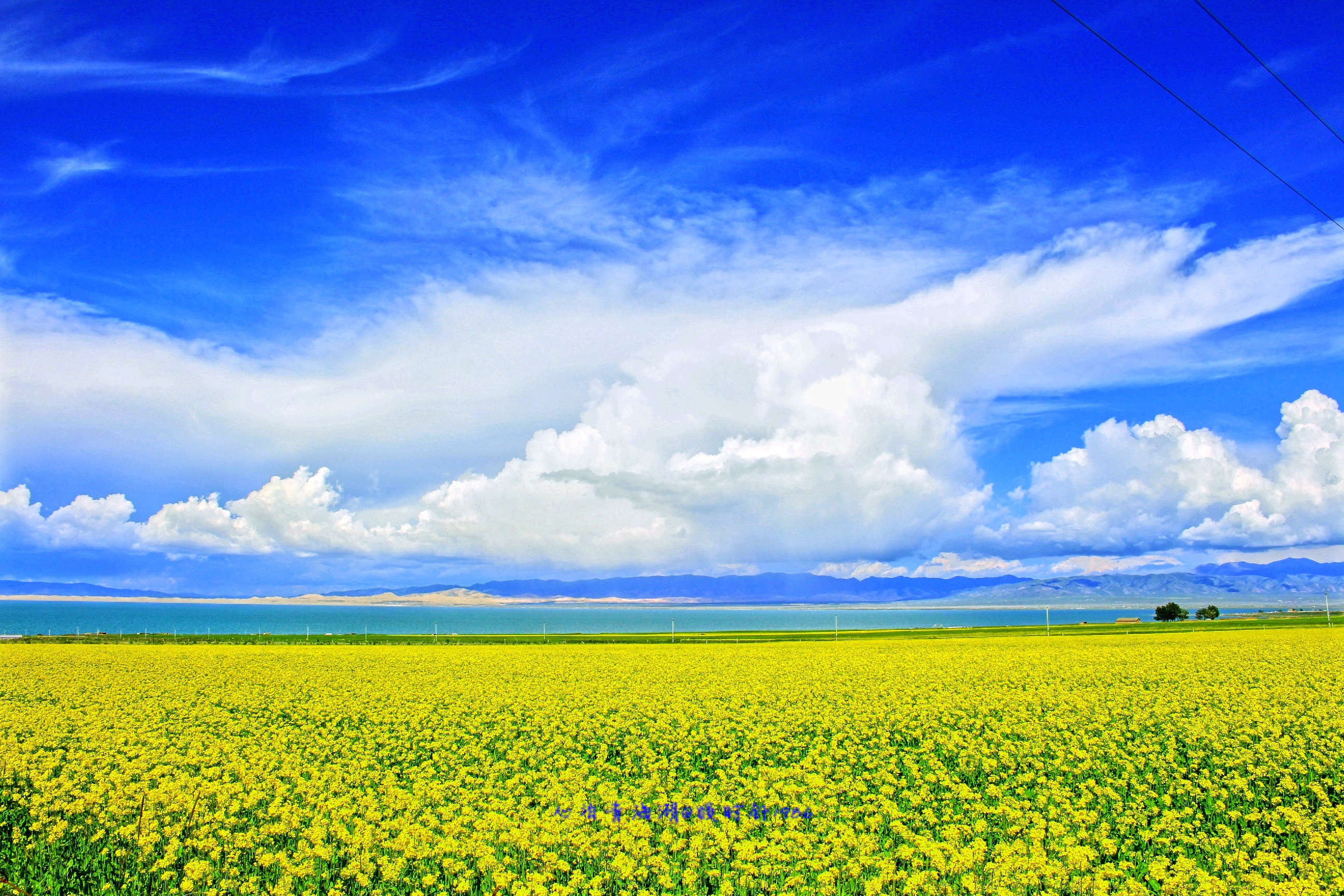 1574849978432656.jpg a0e4c6aa-a435-4723-baed-e630bfe0e960.jpg